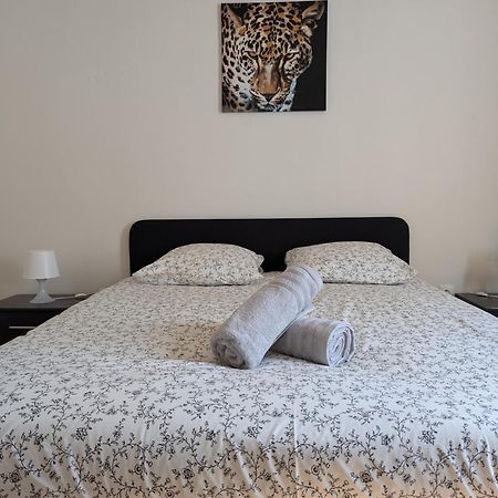 Le Mirage - Appartement 2 Chambres, Salon, Cuisine Equipee, Parking Et Wifi Gratuit Mulhouse Kültér fotó